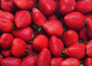 strawberry agriculture